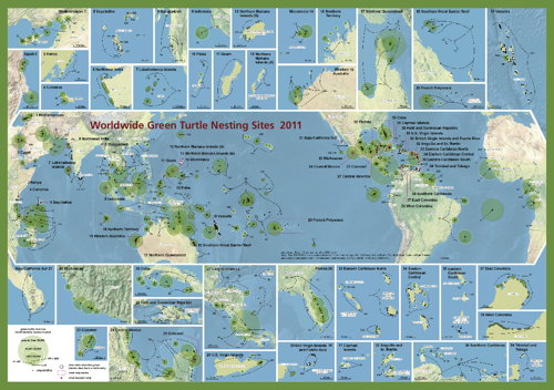 SWOT: Worldwide Green Turtle Nesting Sites 2011 (thumbnail)